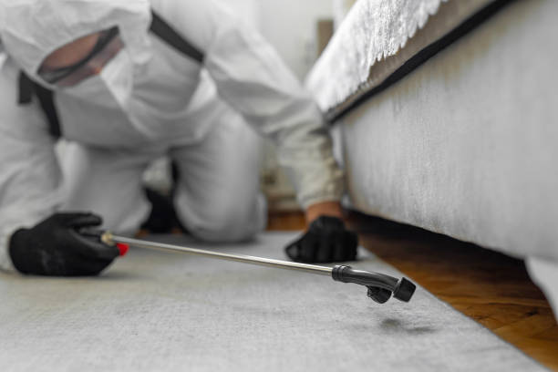 Professional Mosquito Control technician working in Waikoloa Village, HI