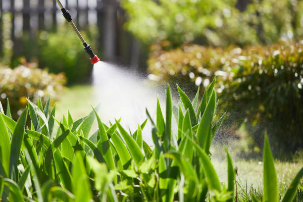 24/7 Emergency Mosquito Control experts in Waikoloa Village, HI