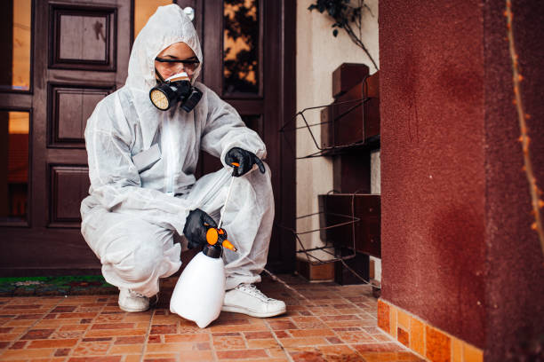 Reliable Mosquito Control contractor in Waikoloa Village, HI by Nex Pest Control