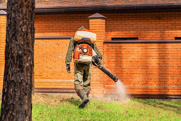 Trusted Rodent Control service in Waikoloa Village, HI - Nex Pest Control